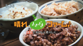【NHK】晴れ、ときどきファーム！「雑穀でおいしく、若々しく」のイメージ